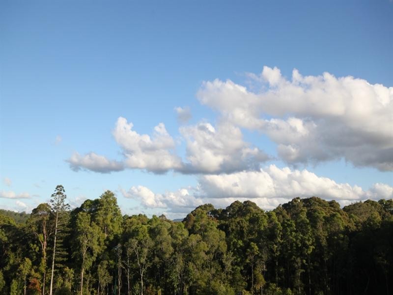 Lot 24 Brushbox Place, Verandah Estate, Eumundi QLD 4562