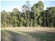 Lot 24 Brushbox Place, Verandah Estate, Eumundi QLD 4562