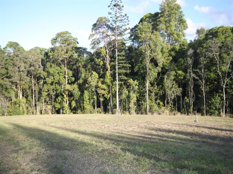 Lot 24 Brushbox Place, Verandah Estate, Eumundi QLD 4562