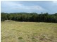Lot 26 Brushbox Place, Verandah Estate, Eumundi QLD 4562