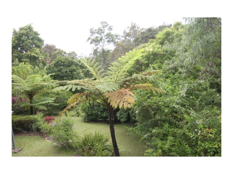 37 Miva Street, Cooroy QLD 4563