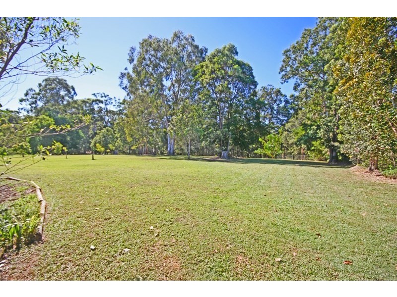 11 Flooded Gum Place, Black Mountain QLD 4563