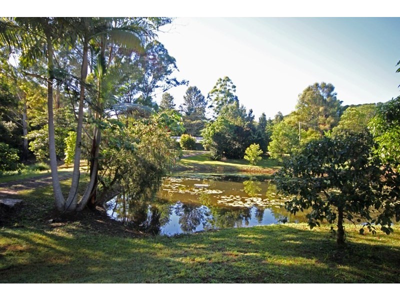 95 Martins Road, Eumundi QLD 4562