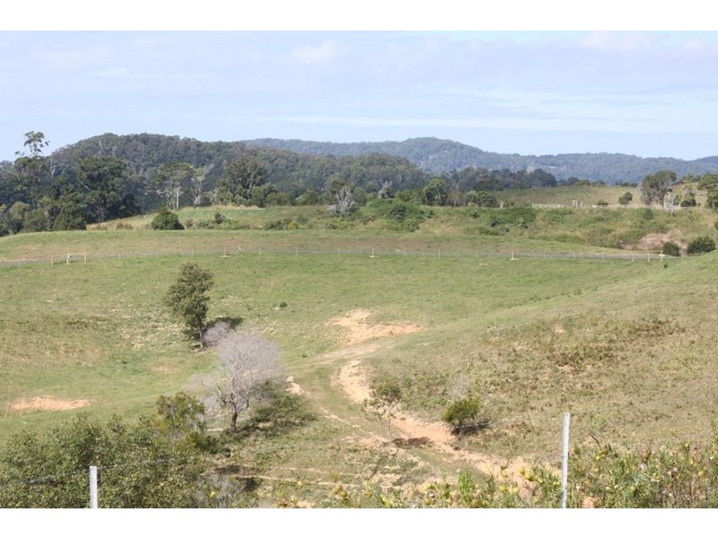 Lot 3 Booyong Drive, Black Mountain QLD 4563