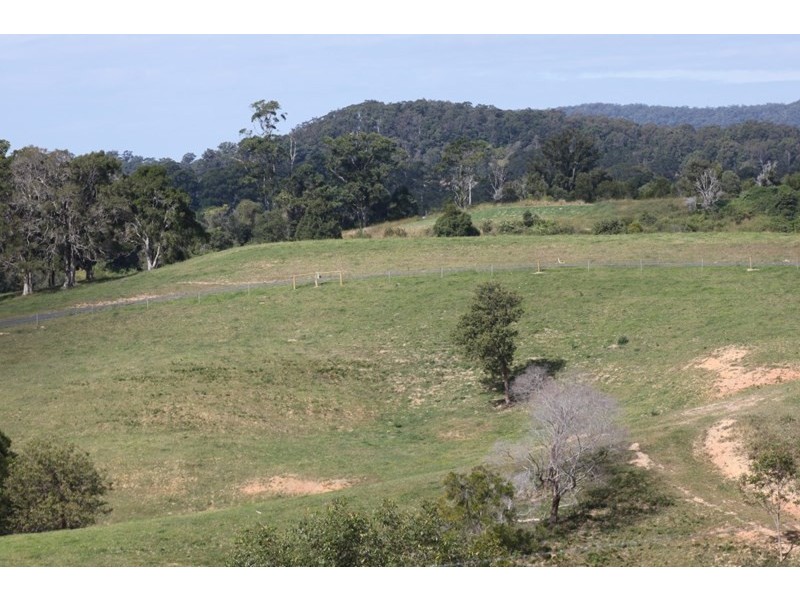 Lot 4 Booyong Drive, Black Mountain QLD 4563