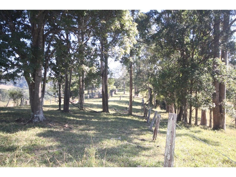 66 Coles Creek Road, Cooran QLD 4569