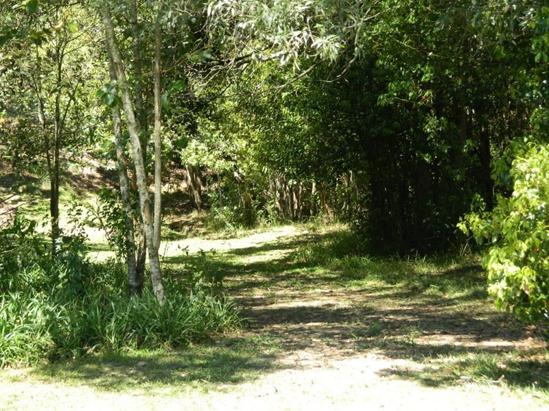 27 Dianella Court, Cooroy QLD 4563