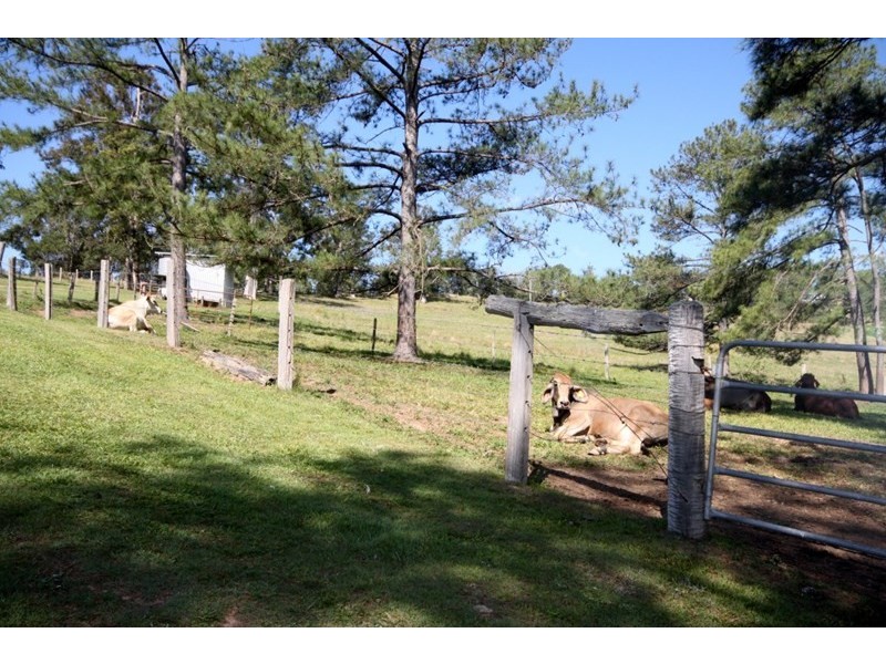 45 Happy Jack Creek Road, Ridgewood QLD 4563