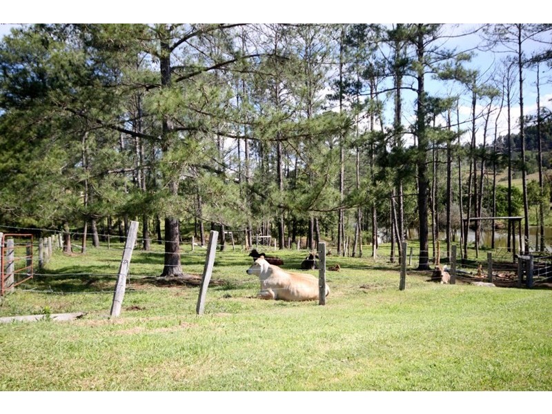 45 Happy Jack Creek Road, Ridgewood QLD 4563