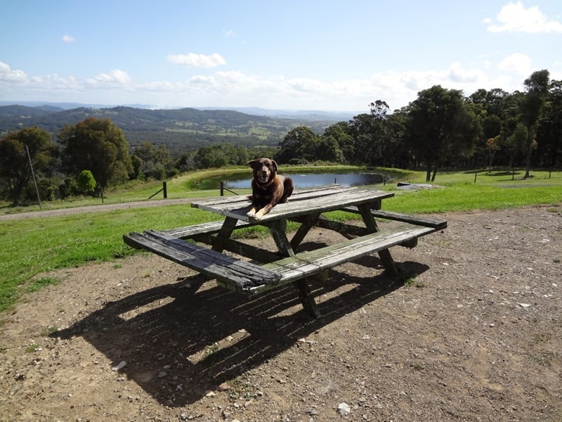 Cooran QLD 4569