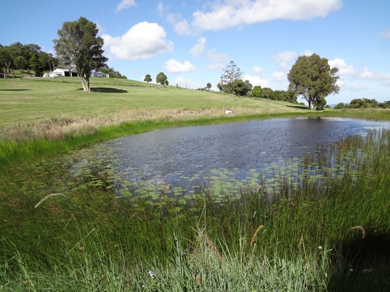 Cooran QLD 4569