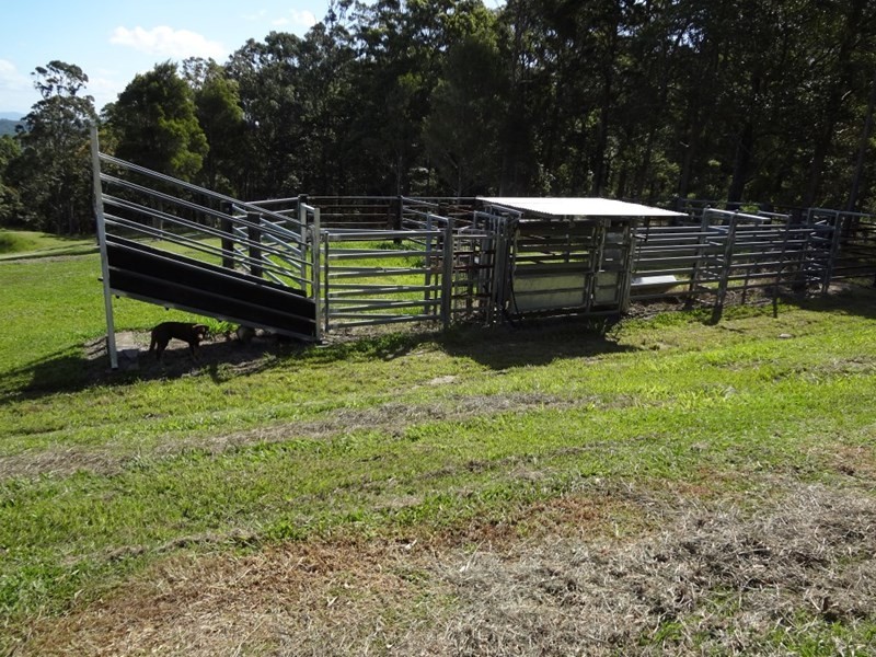 Cooran QLD 4569