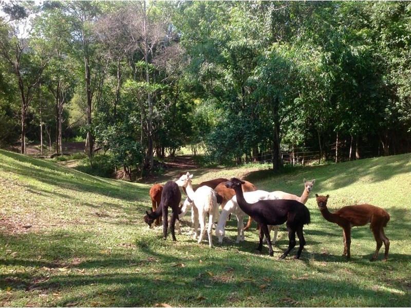 593 Eumundi Kenilworth Road, Eerwah Vale QLD 4562