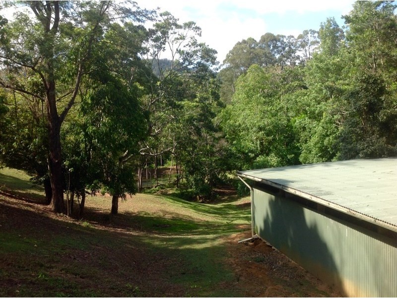 593 Eumundi Kenilworth Road, Eerwah Vale QLD 4562