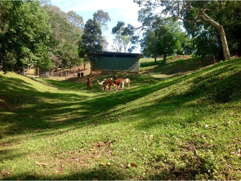 593 Eumundi Kenilworth Road, Eerwah Vale QLD 4562