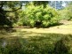 593 Eumundi Kenilworth Road, Eerwah Vale QLD 4562