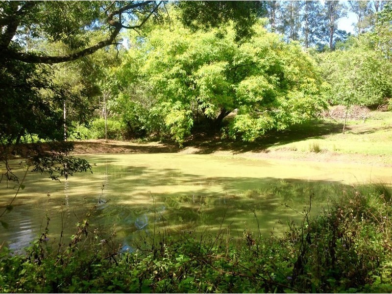 593 Eumundi Kenilworth Road, Eerwah Vale QLD 4562