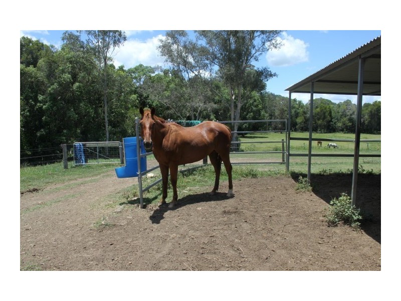 267 Tandur-Traveston Road, Traveston QLD 4570