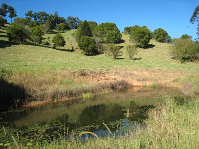Cooroy QLD 4563