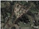 Cooroy QLD 4563