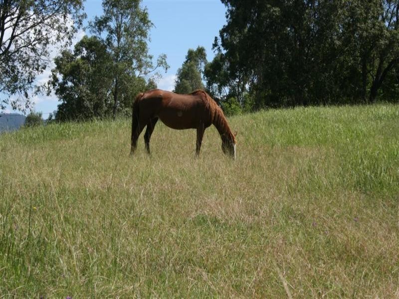Kilcoy QLD 4515