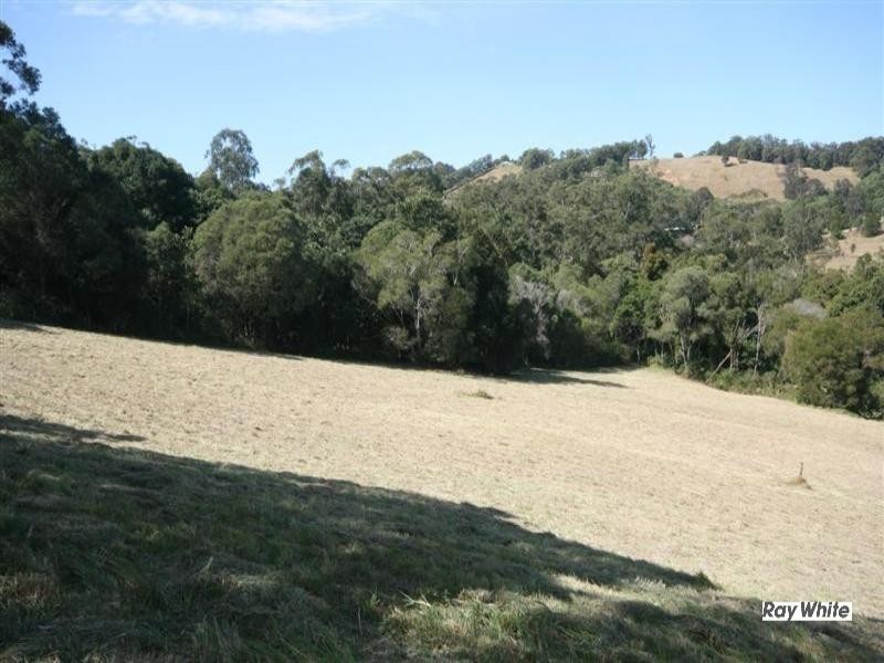 Cooroy QLD 4563