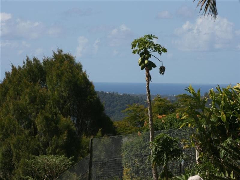 27 Karnu Drive, Maroochy River QLD 4561