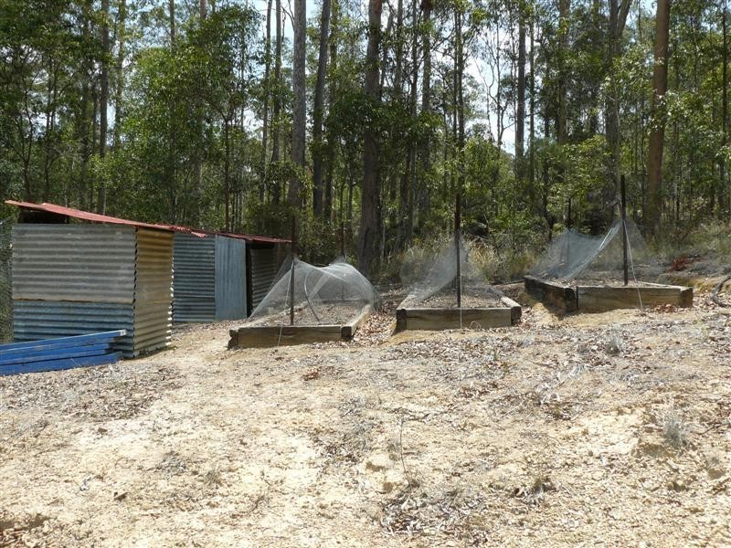 239 Coles Creek Road, Cooran QLD 4569