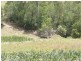 239 Coles Creek Road, Cooran QLD 4569