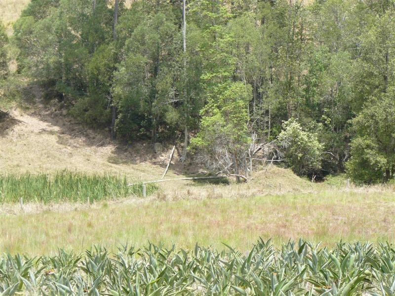 239 Coles Creek Road, Cooran QLD 4569