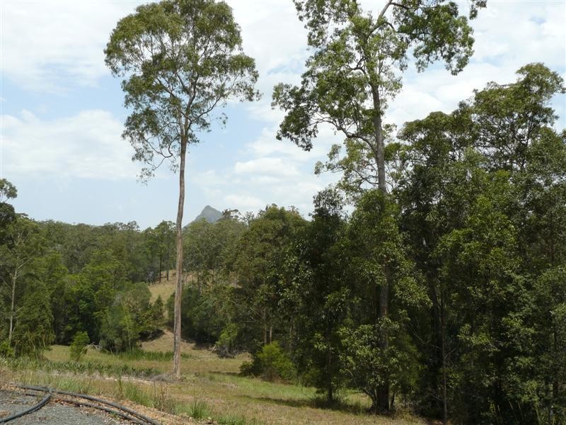 239 Coles Creek Road, Cooran QLD 4569