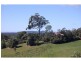 Cooroy QLD 4563