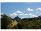 Cooroy QLD 4563