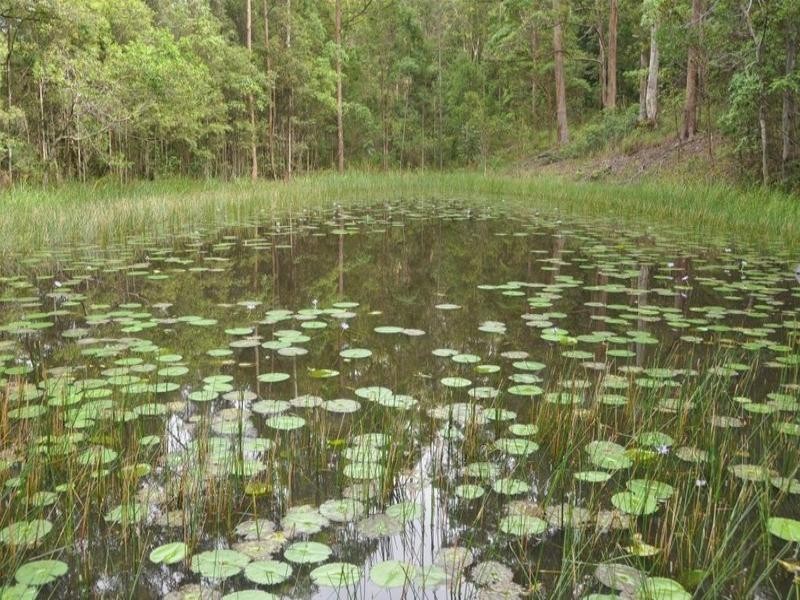 Yandina QLD 4561