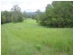 Yandina QLD 4561