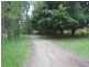 Yandina QLD 4561