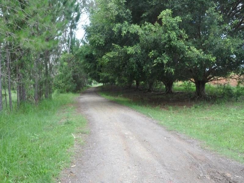 Yandina QLD 4561