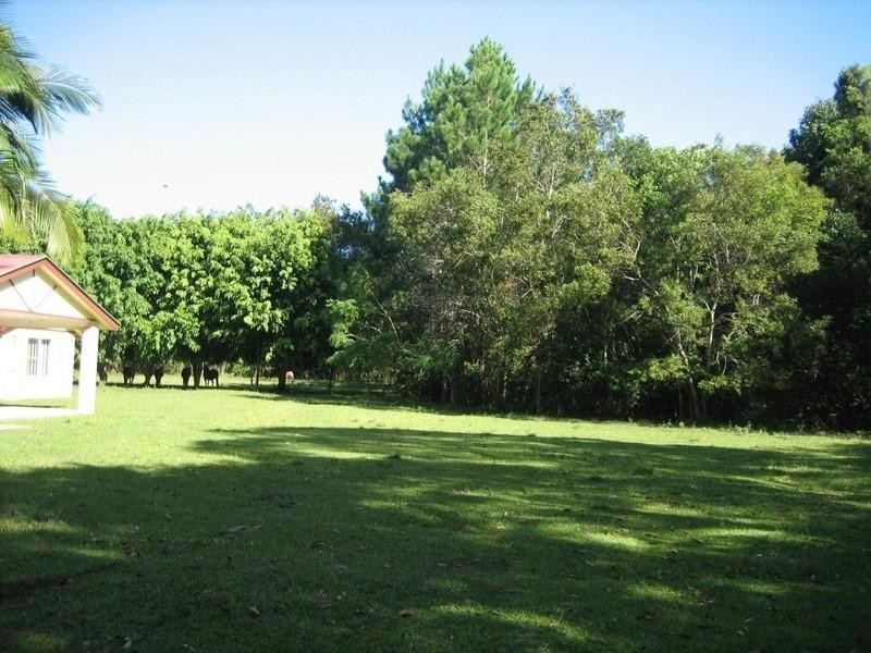Yandina QLD 4561