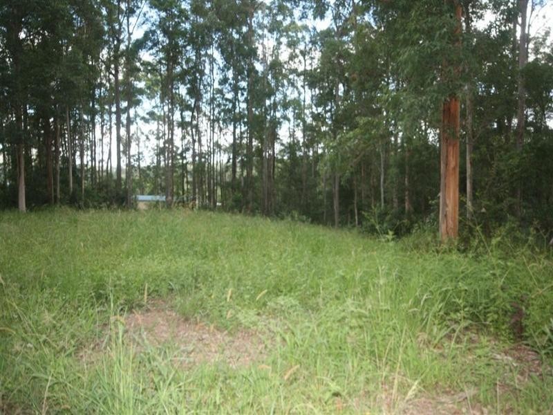 8 Supplejack Court, Lake Macdonald QLD 4563