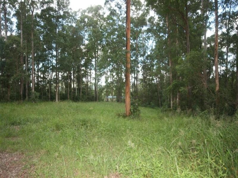 8 Supplejack Court, Lake Macdonald QLD 4563