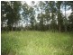 8 Supplejack Court, Lake Macdonald QLD 4563