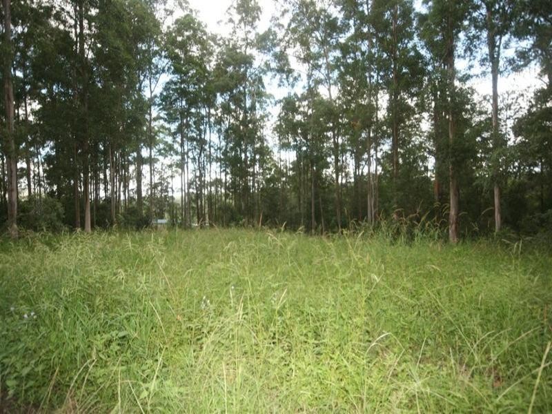 8 Supplejack Court, Lake Macdonald QLD 4563