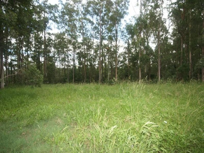 8 Supplejack Court, Lake Macdonald QLD 4563