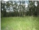 8 Supplejack Court, Lake Macdonald QLD 4563