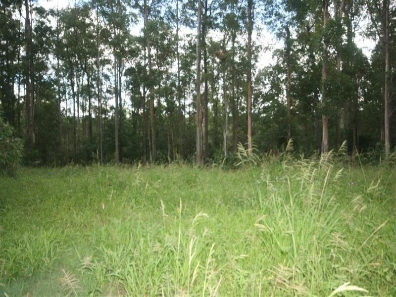 8 Supplejack Court, Lake Macdonald QLD 4563