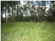 8 Supplejack Court, Lake Macdonald QLD 4563