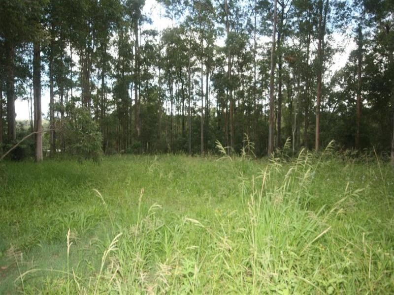 8 Supplejack Court, Lake Macdonald QLD 4563