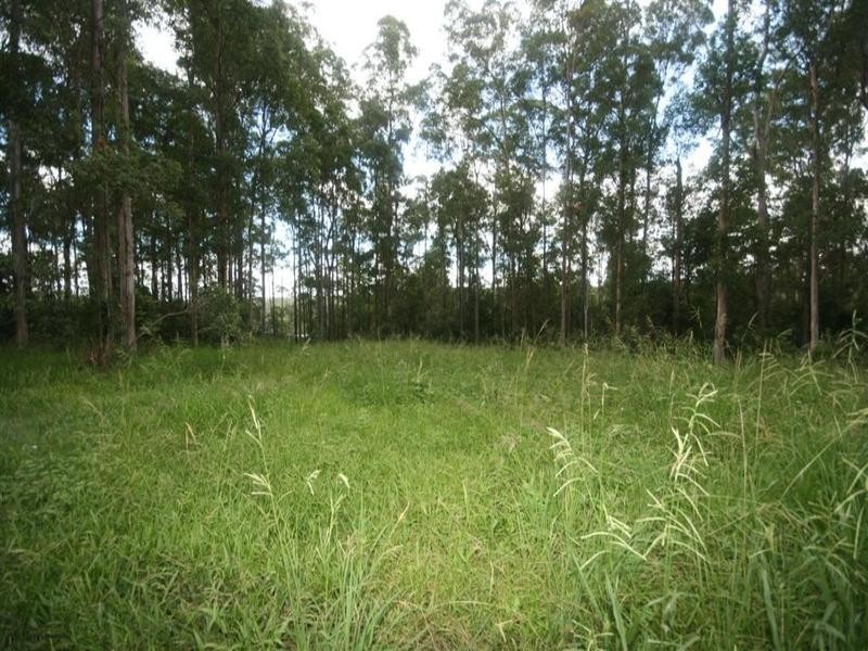 8 Supplejack Court, Lake Macdonald QLD 4563
