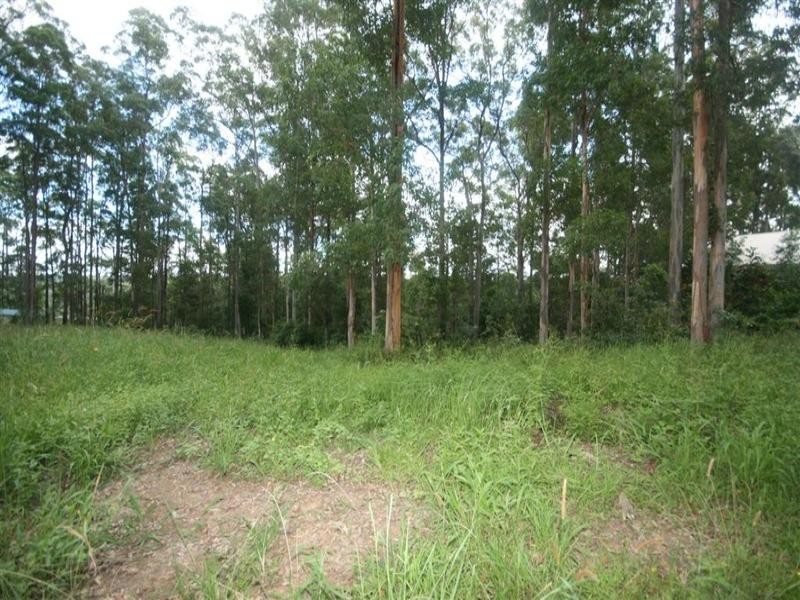 8 Supplejack Court, Lake Macdonald QLD 4563