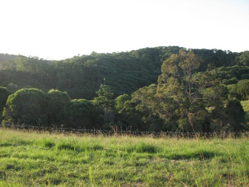Cooroy Mountain QLD 4563